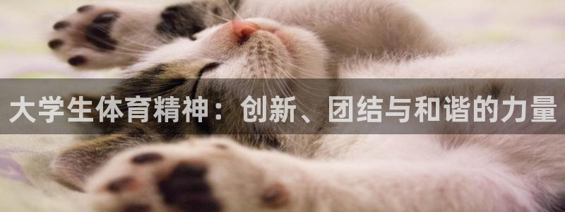 米兰体育官网下载招商电话号码是多少啊:大学生体育精神:创新、
