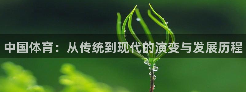 米兰体育官方正版app娱乐是那个系列的台子:中国体育:从传统