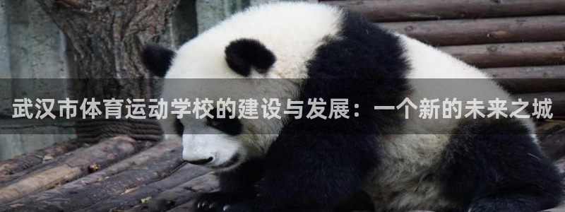 米兰体育官网下载平台注册要钱吗是真的吗:武汉市体育运动学校的