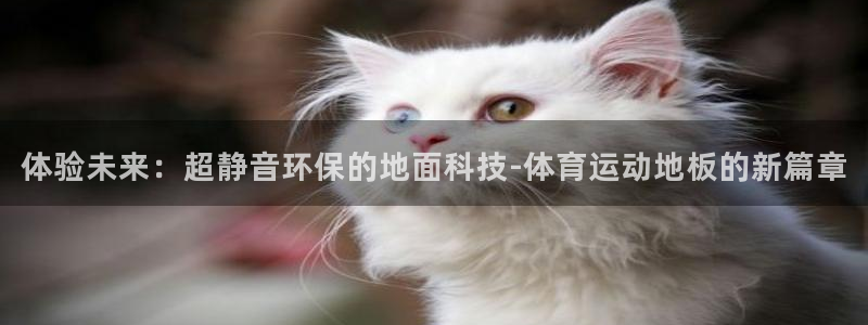 米兰体育官方正版app娱乐下载:体验未来:超静音环保的地面科